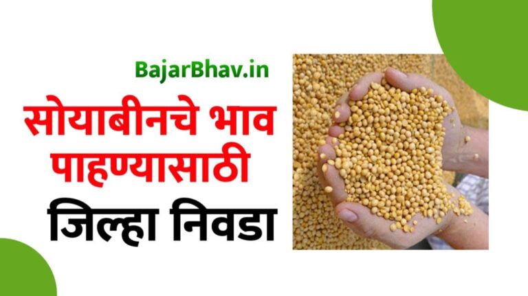 jilhanihay soyabin bajarbhav