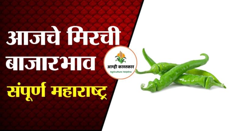 mirchi bazar bhav