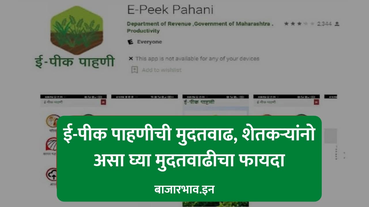E Pik Pahani Bajarbhav