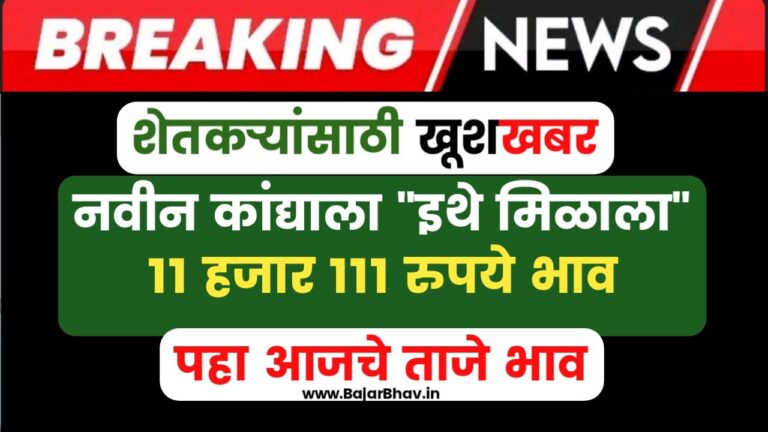 Kanda Bajar Bhav Today