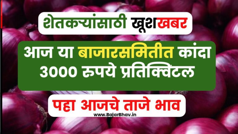 aajche kanda bajarbhav