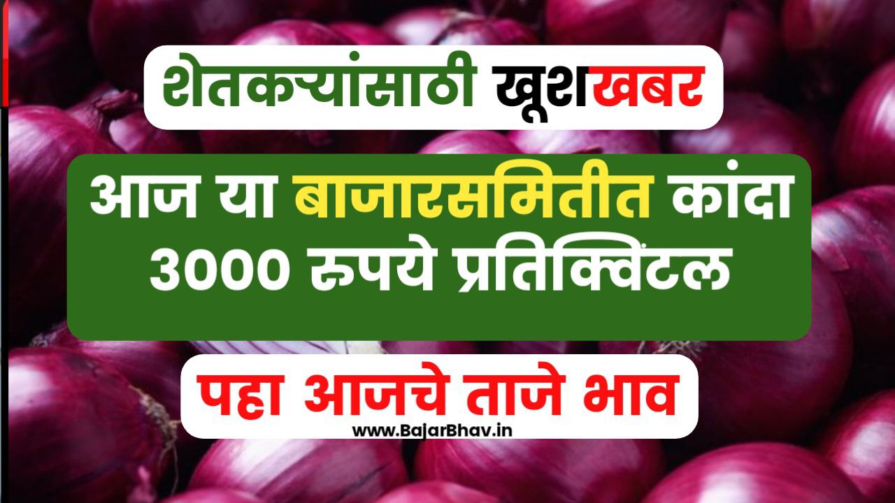 aajche kanda bajarbhav