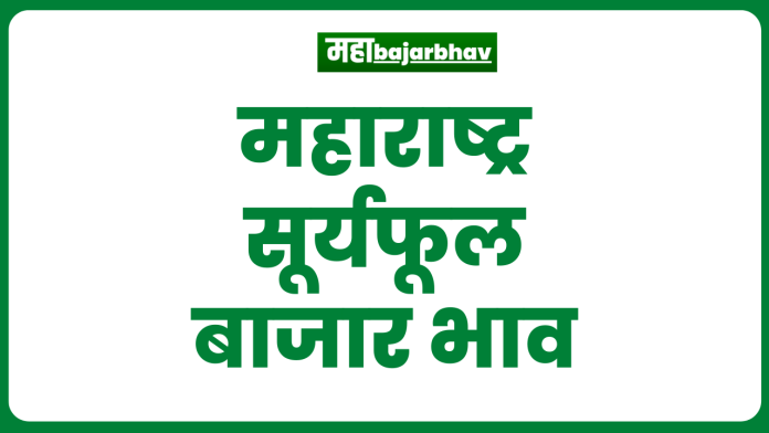 महाराष्ट्र सूर्यफूल बाजार भाव